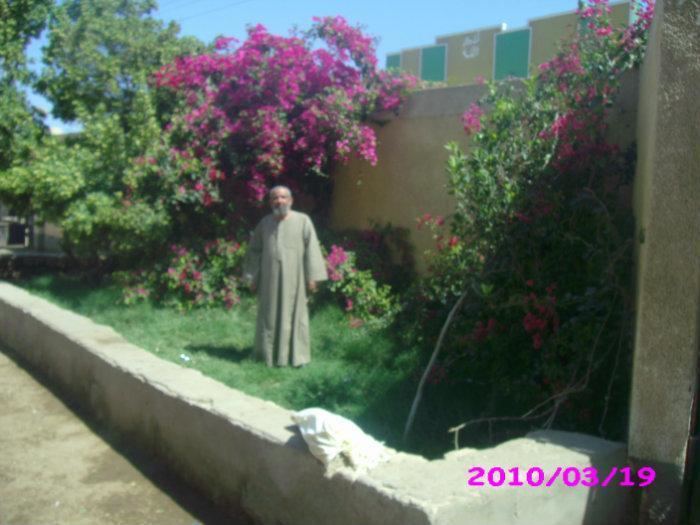 أحمد عبدالوهاب يبدأ تصوير "القصة الكاملة ما لم يُحكَ عن بنى مزار"