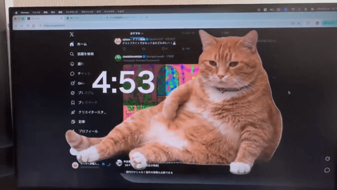 قطة سمينة تعالج إدمان الإنترنت عبر أداة جديدة