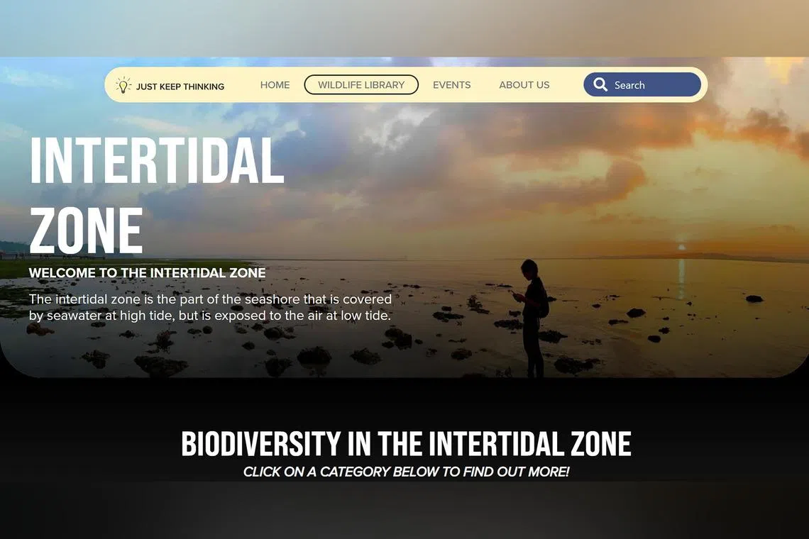 مكتبة حيوانات مجانية في سنغافورة لتعزيز الوعي البيئي