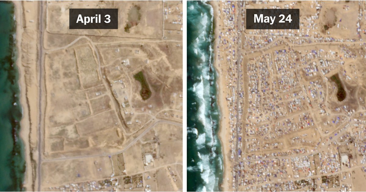 Éducation à Gaza : défis sous les tentes
