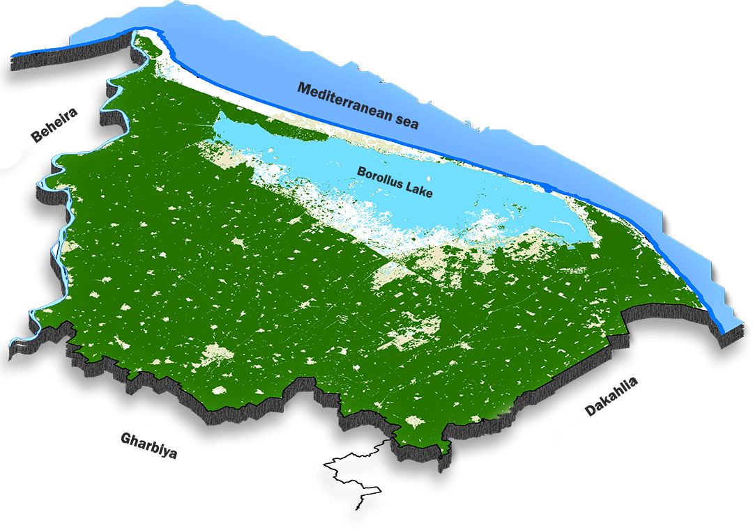 أمطار غزيرة في كفر الشيخ