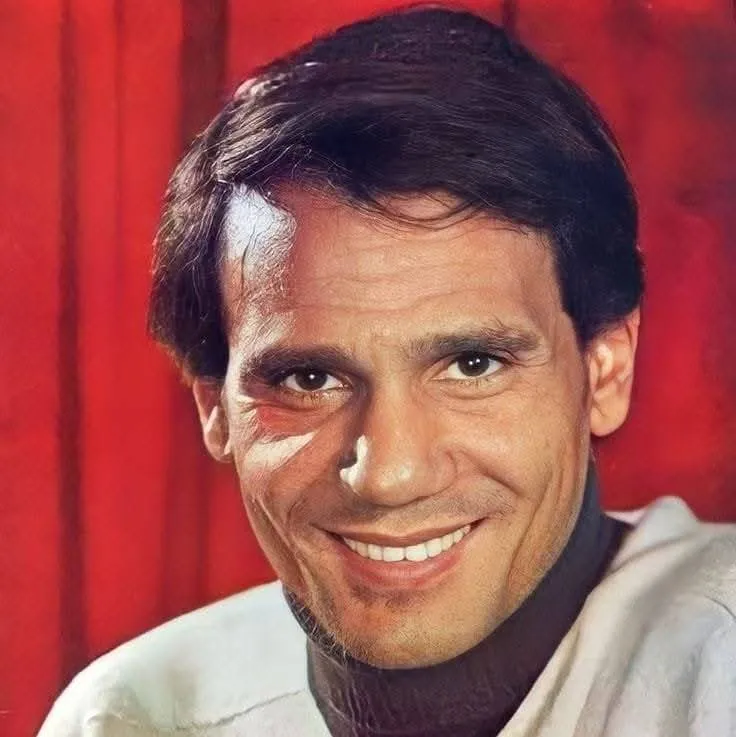 Buch über die Kämpfe von Abdel Halim Hafez