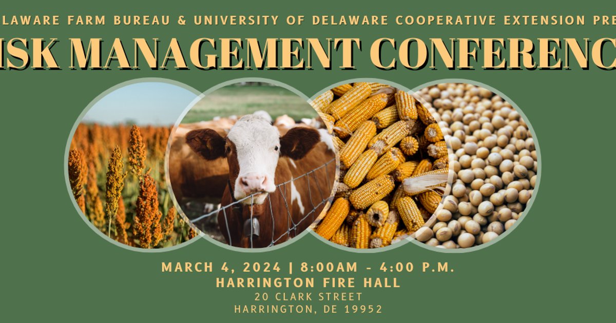 Internationale Konferenz zum Risikomanagement im Schiffsverkehr