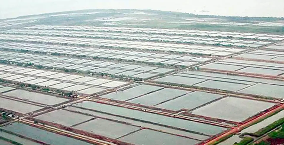 مشروع تربية الروبيان في واينغابو