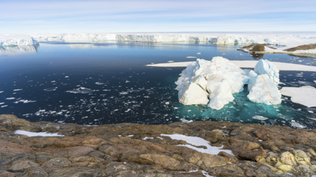 اكتشاف واحة جديدة في القارة القطبية الجنوبية