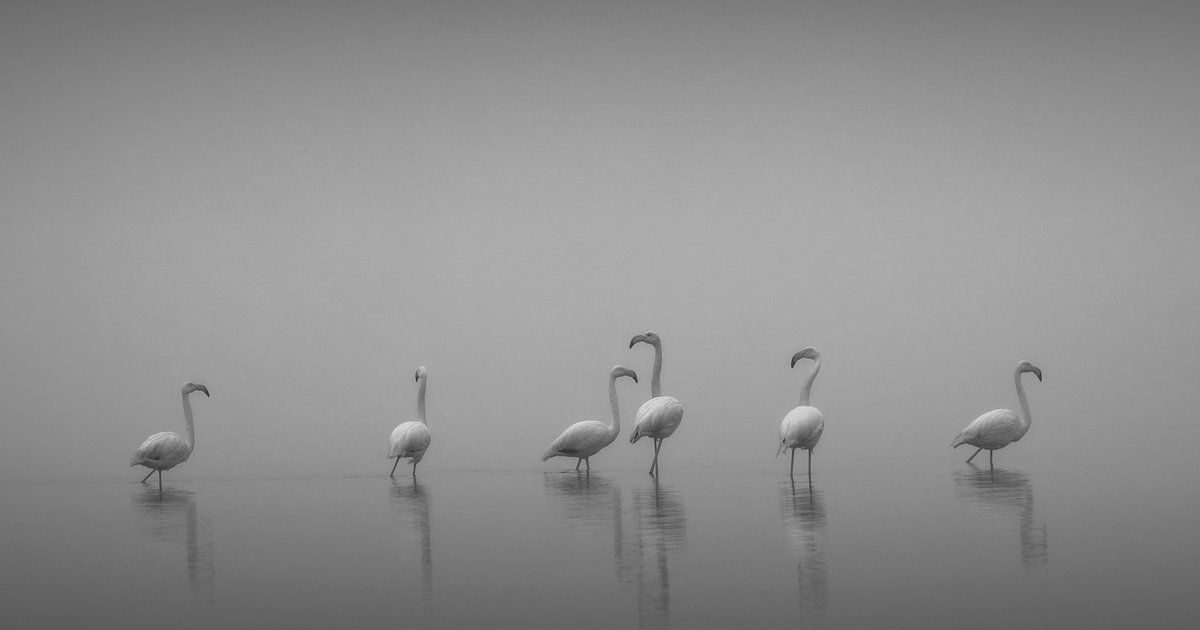 Crucial Meeting After Al Ahly vs Zamalek Summit Clash