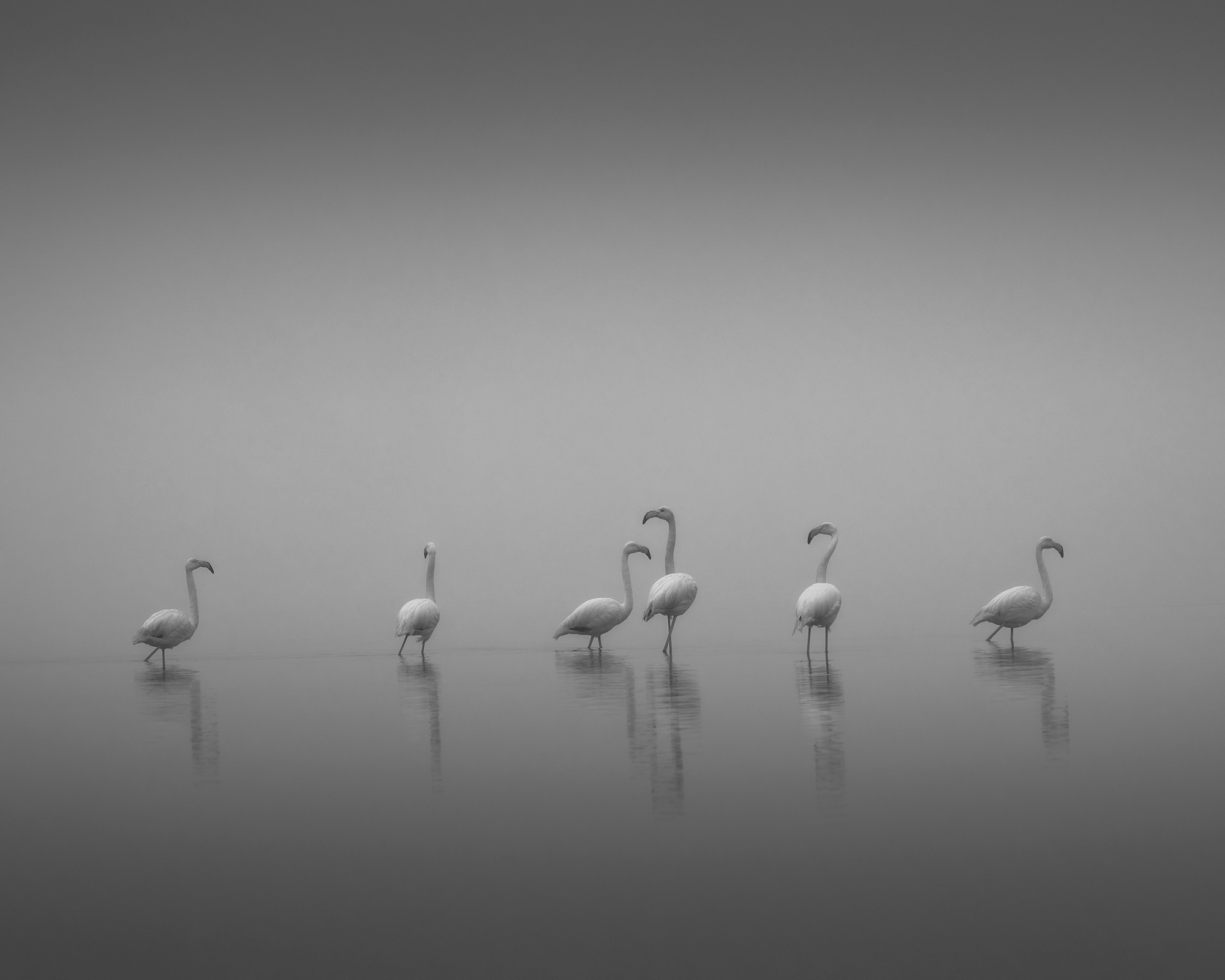 اجتماع هام بعد قمة الأهلي والزمالك لمناقشة المسابقات