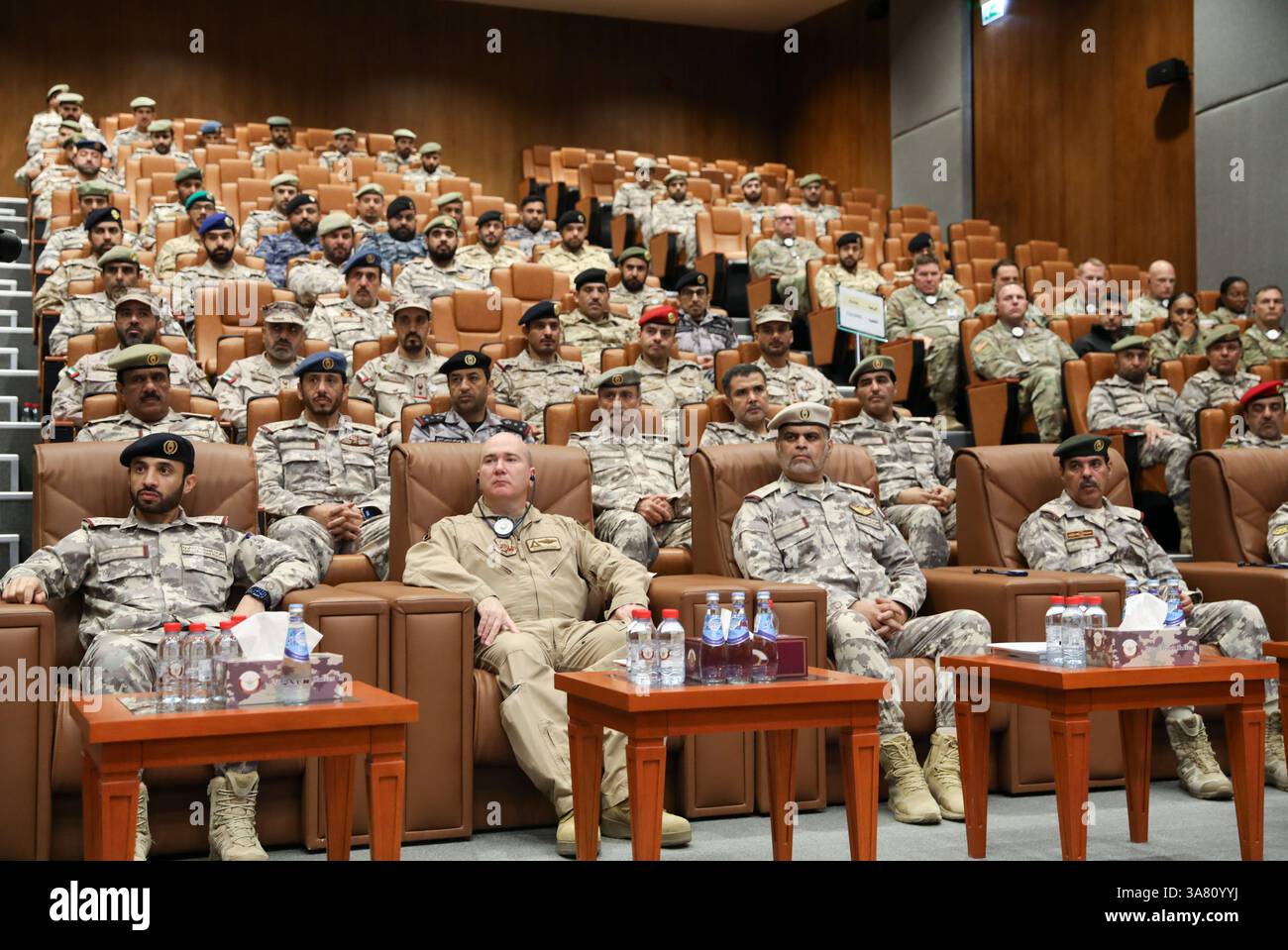 UAE and Bahrain: Unified Response to Any Aggression
