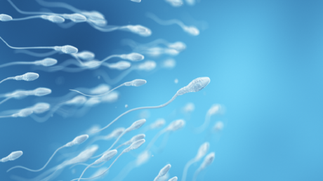 إنتاج حيوانات منوية في المختبر: إنجاز علمي جديد