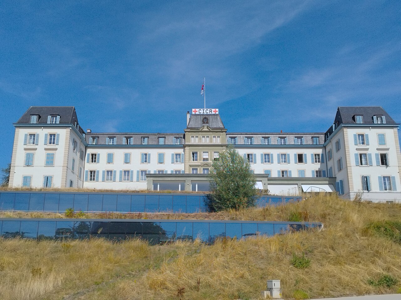 King Welcomes President of International Red Cross