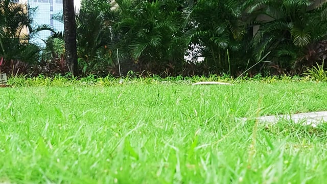 تعزيز الشفافية في جاكرتا من خلال علامات المناطق المعلوماتية