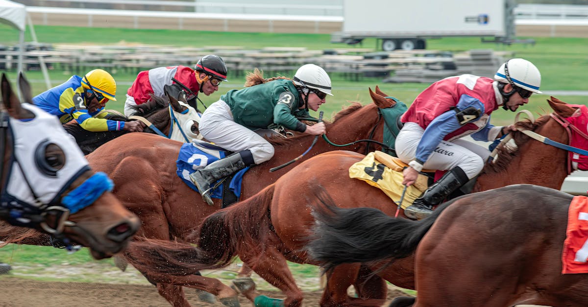 Coupe du Monde de Dubaï : records et prestige équestre