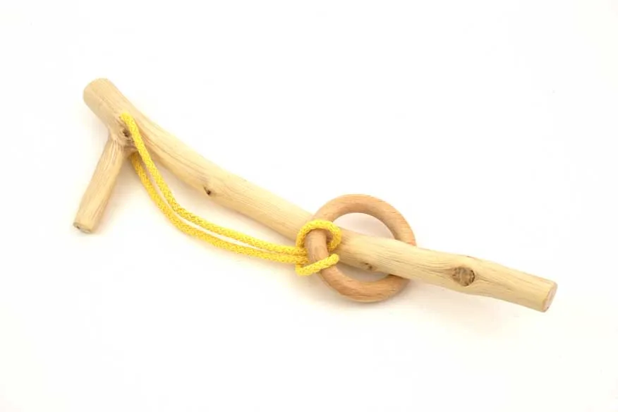 اكتشف البومة المخفية في 10 ثوان