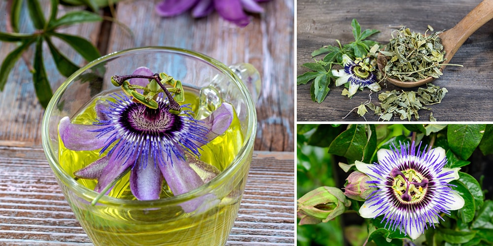 7 مشروبات طبيعية لتحسين جودة النوم