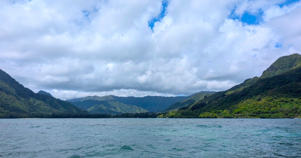 Kahana's Transformation to the International Arena