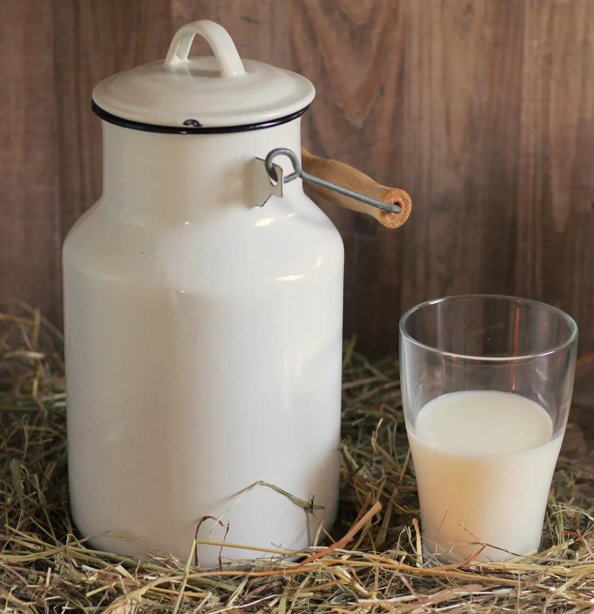 Meilleurs moments pour consommer du lait et santé osseuse