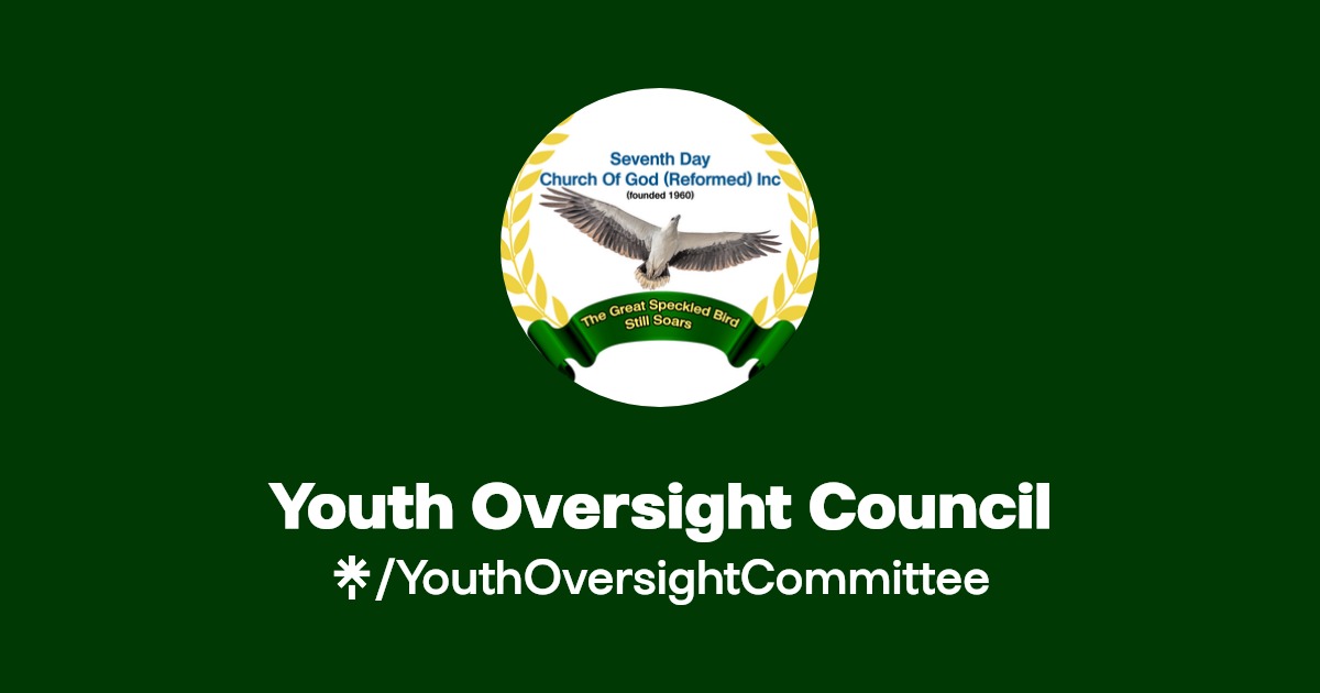 تفعيل الرقابة على الأندية المحترفة في وزارة الشباب