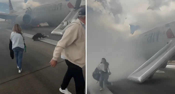 تأخير إقلاع طائرة أمريكية بسبب نحل بمطار شارلوت