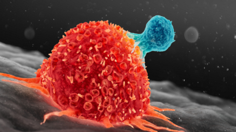 Développer de nouveaux médicaments contre le cancer