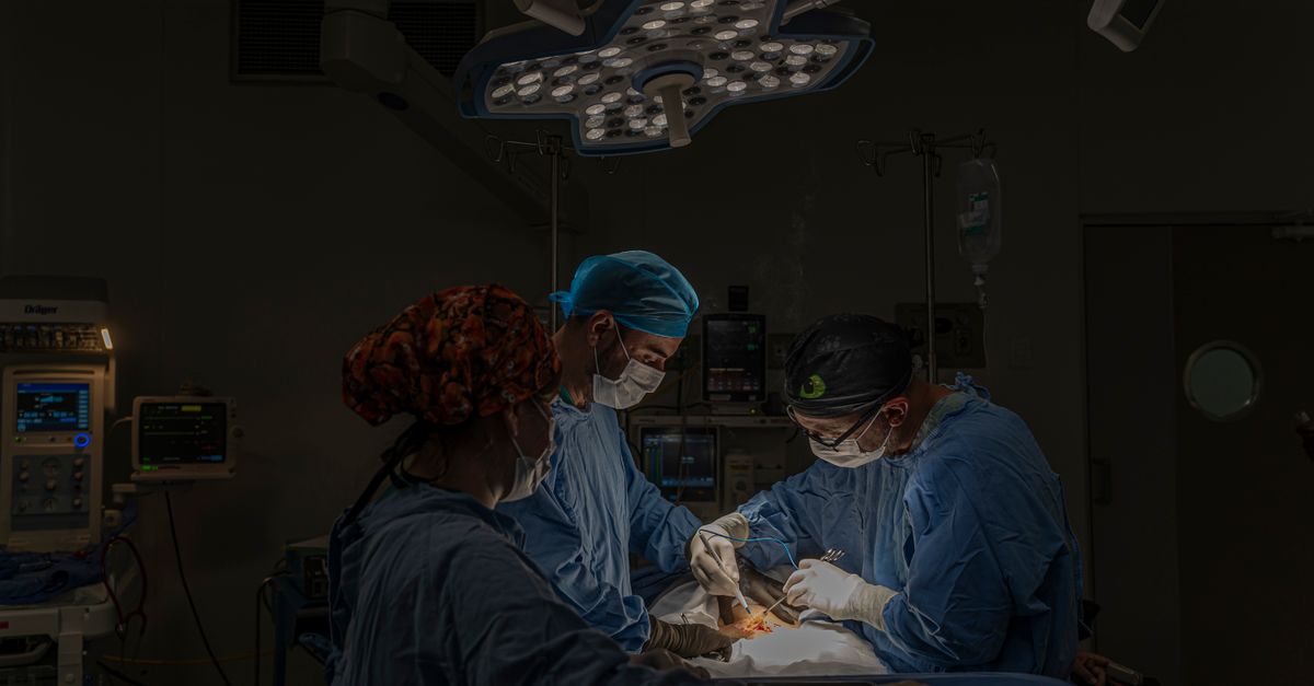 Monitor 23 Hospitals to Enhance Critical Care in Egypt