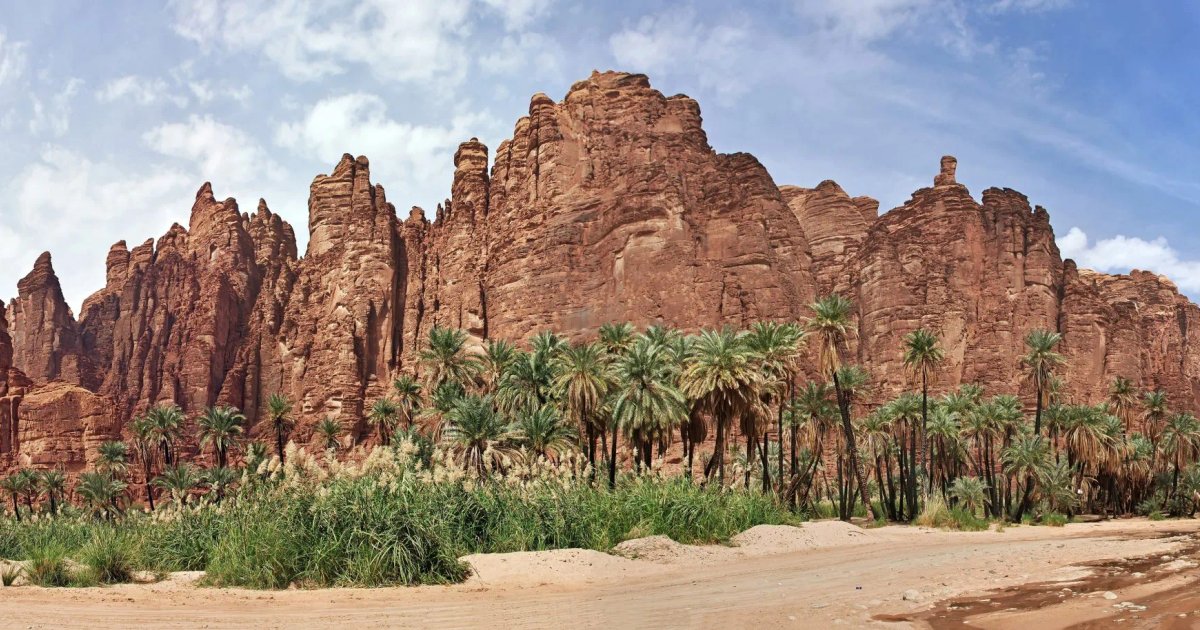 Vallée de Najilah à Tabuk : Destination touristique printanière