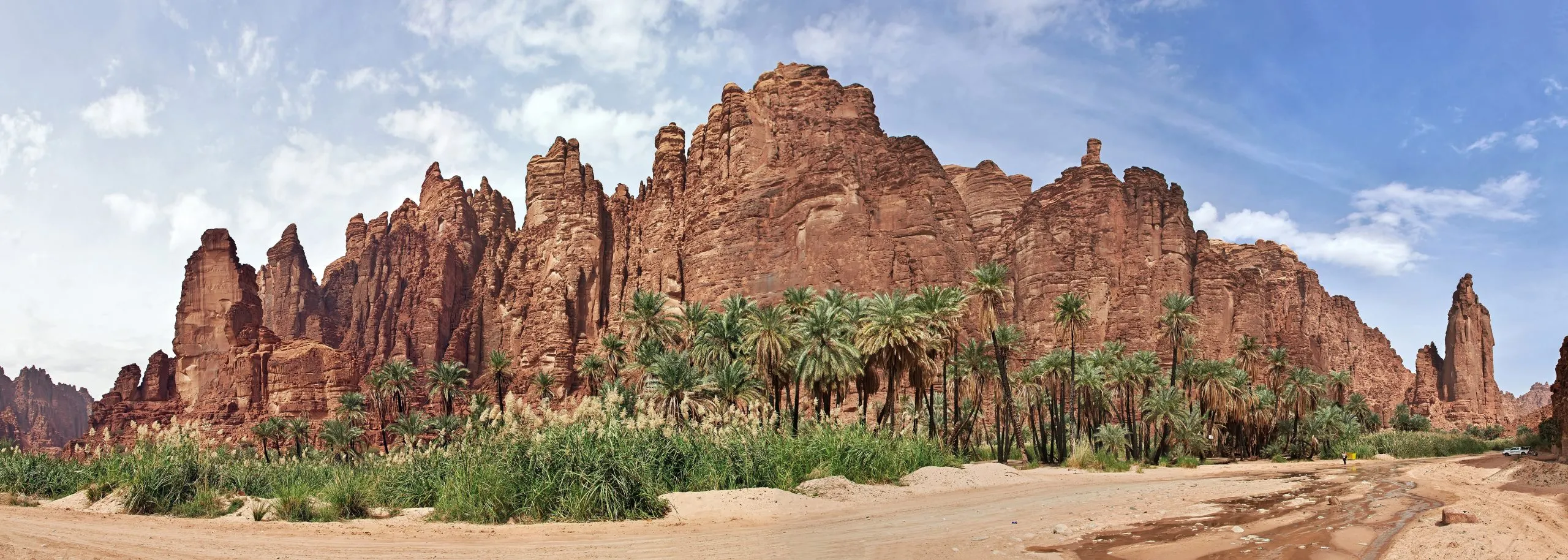 فيضة النجيلة في تبوك: وجهة سياحية ربيعية