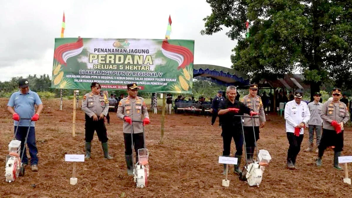 PTPN IV PalmCo تُطلق حملة زراعة 50 ألف شجرة