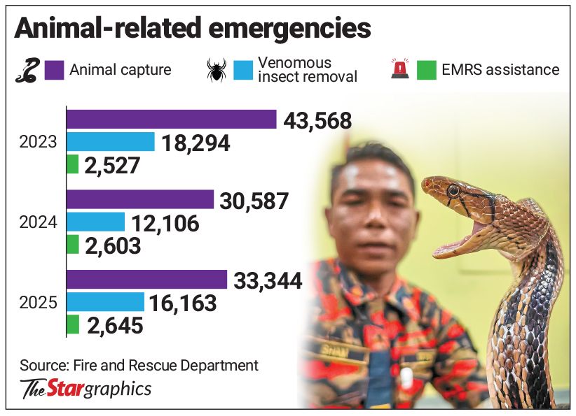 Record 81,207 Rescue Operations in Malaysia