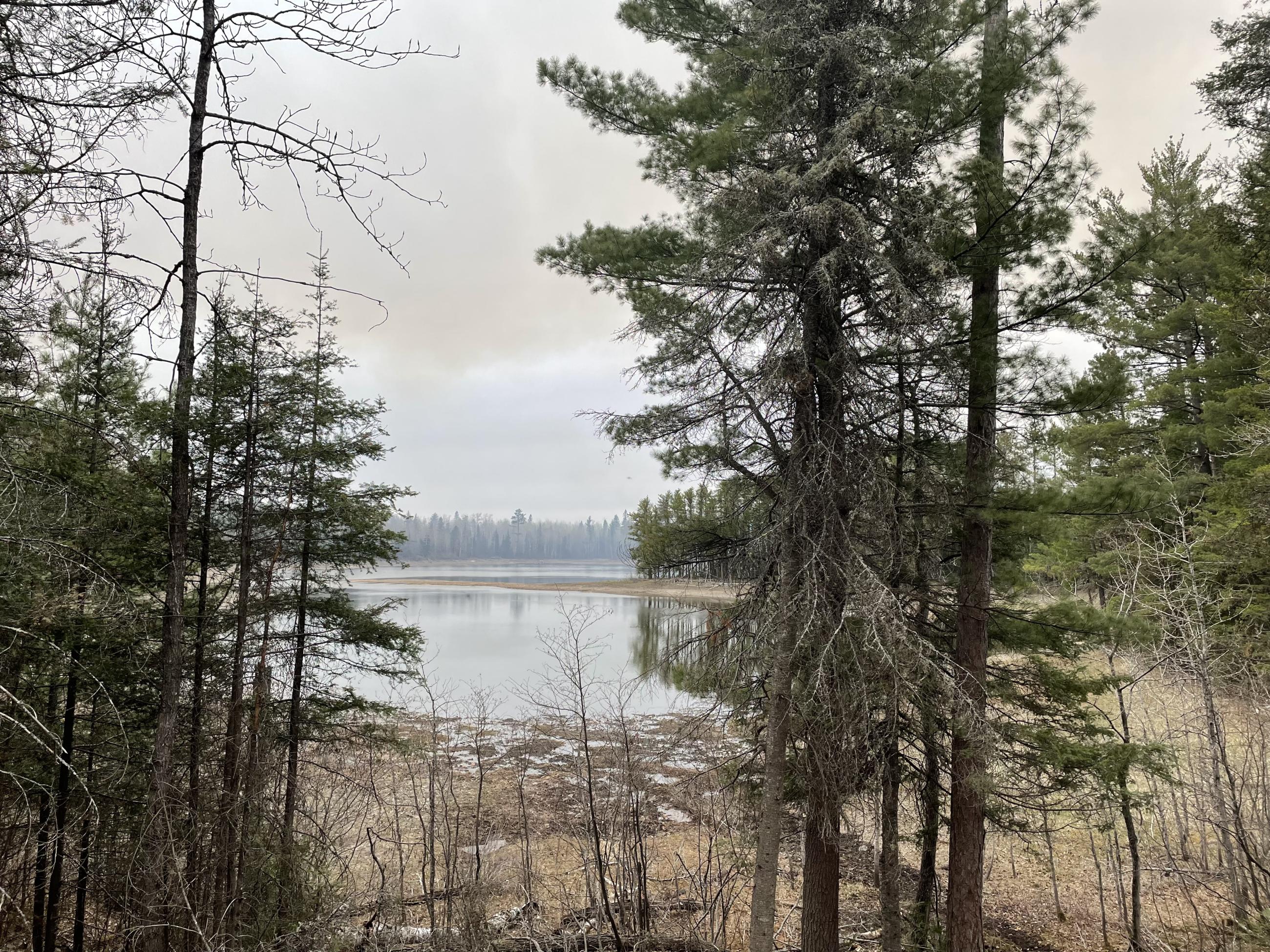 ستيفن فراي يقاضي مؤتمر CogX بعد إصابته