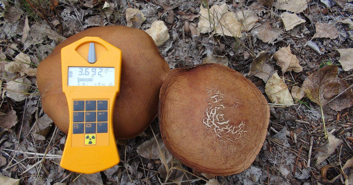 Leyenda de la nube radiactiva de Chernobyl y su impacto