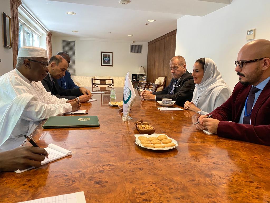 L'OCI salue le rapport sur les droits de l'homme en Palestine