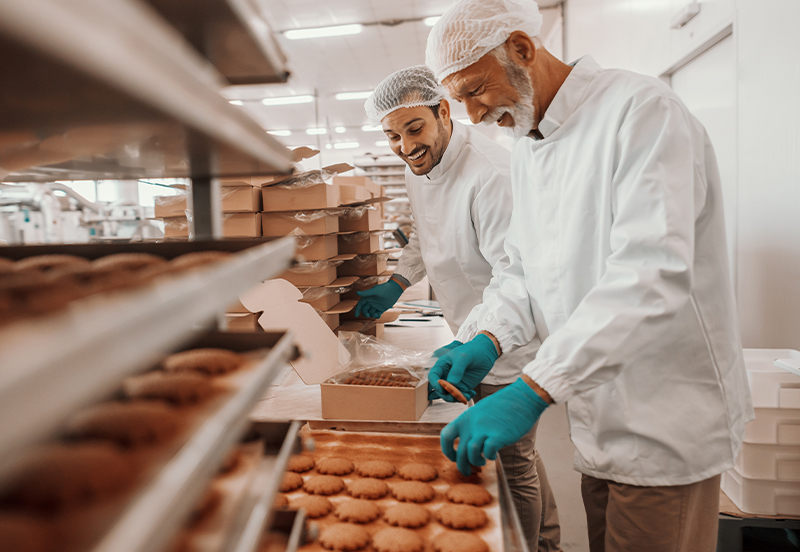 Inspection campaigns in Aswan to improve bread quality