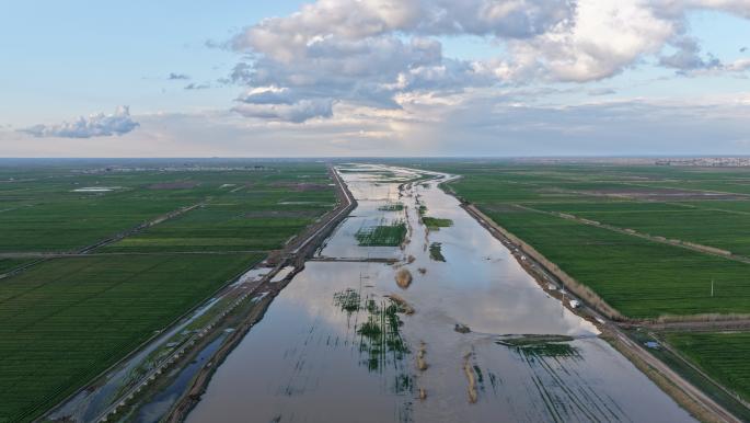 Les fortes pluies à Idlib menacent les récoltes agricoles