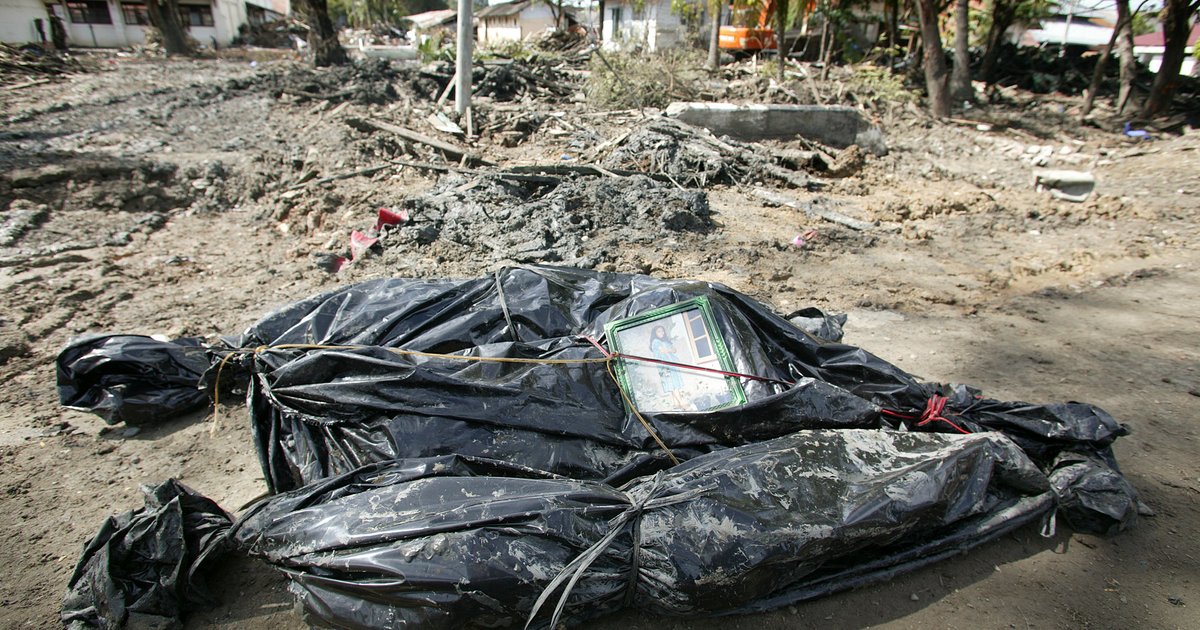 مساعدات عاجلة لضحايا الكوارث في بيديه جايا