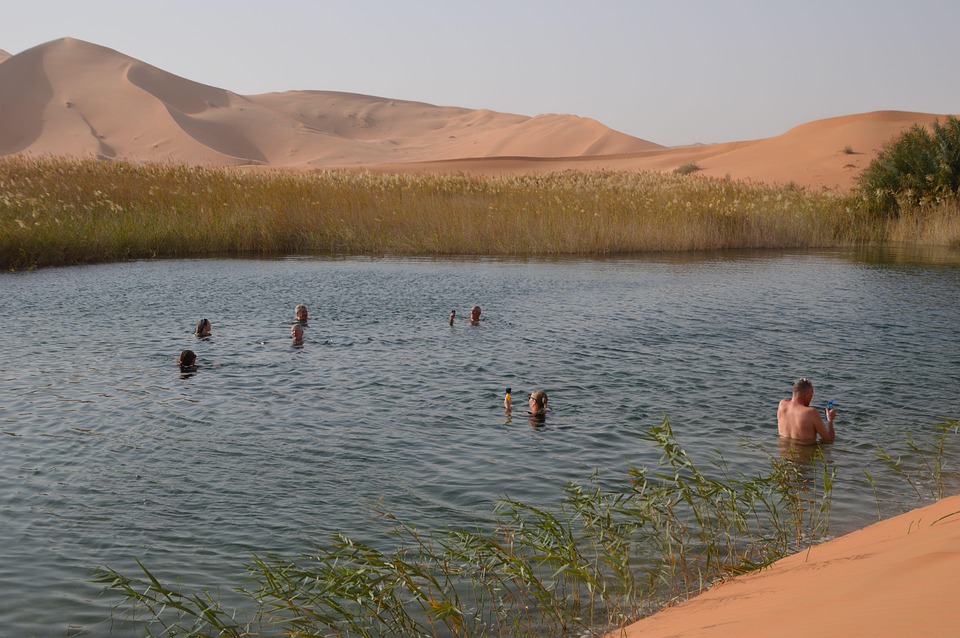 القادسية تتألق في بطولة المملكة للسباحة