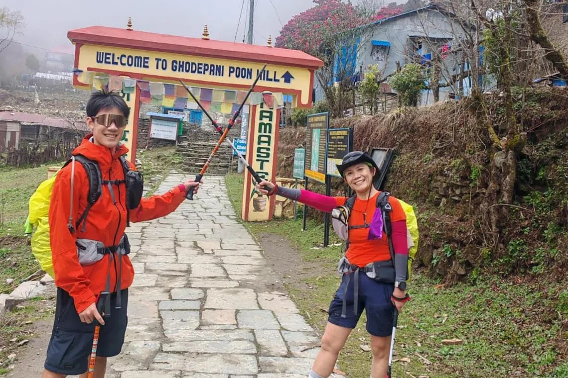 حساسية الرياضة: حالة سيلينا أنغ