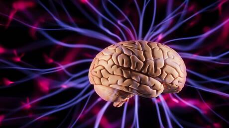 Left Brain Dominance Forms by Age Four - Key Discovery