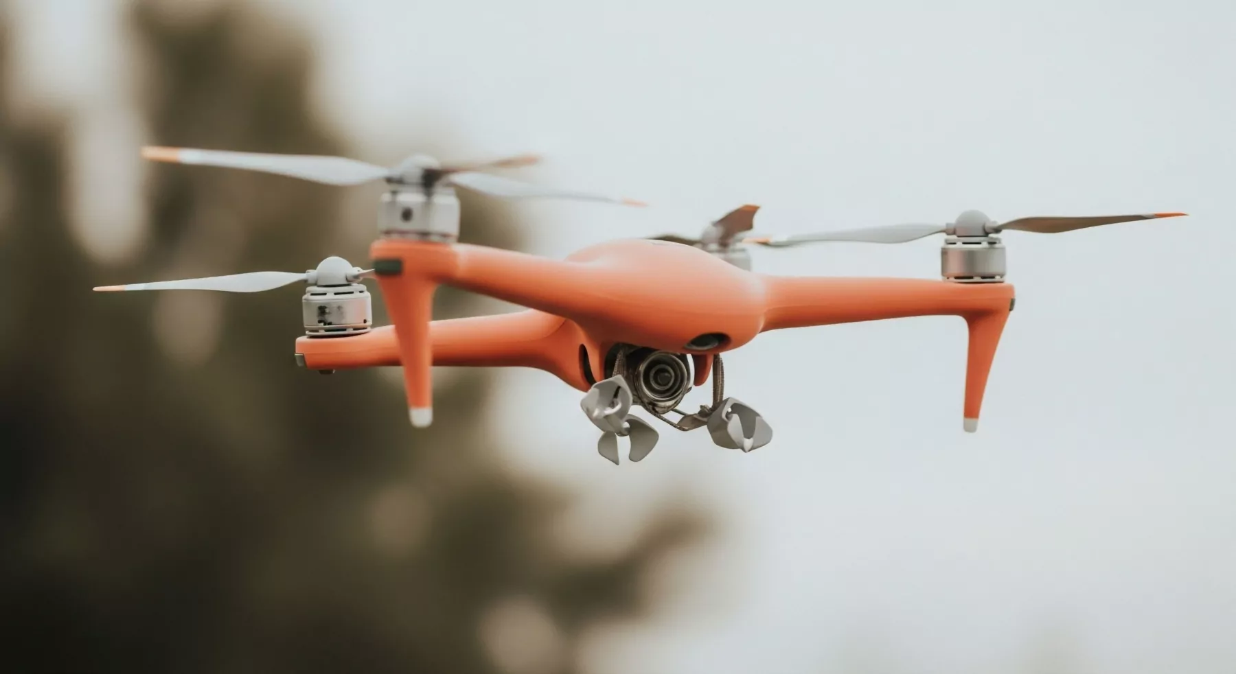 Algorithms of Dispersed Economy and Their Cultural Impact