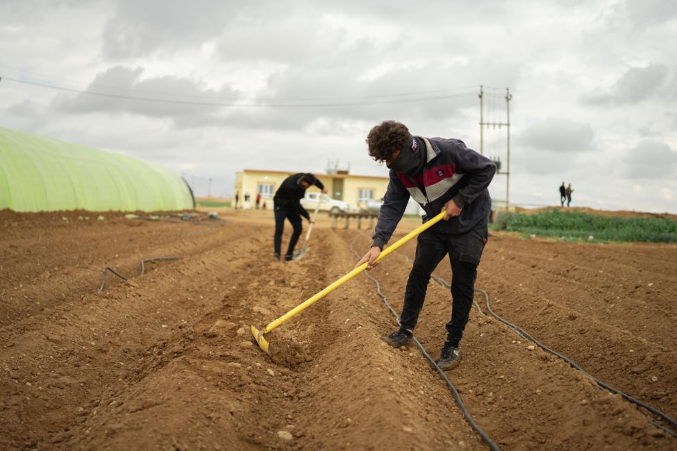 الاعتراف بجريمة الإبادة ضد الإيزيديين في العراق