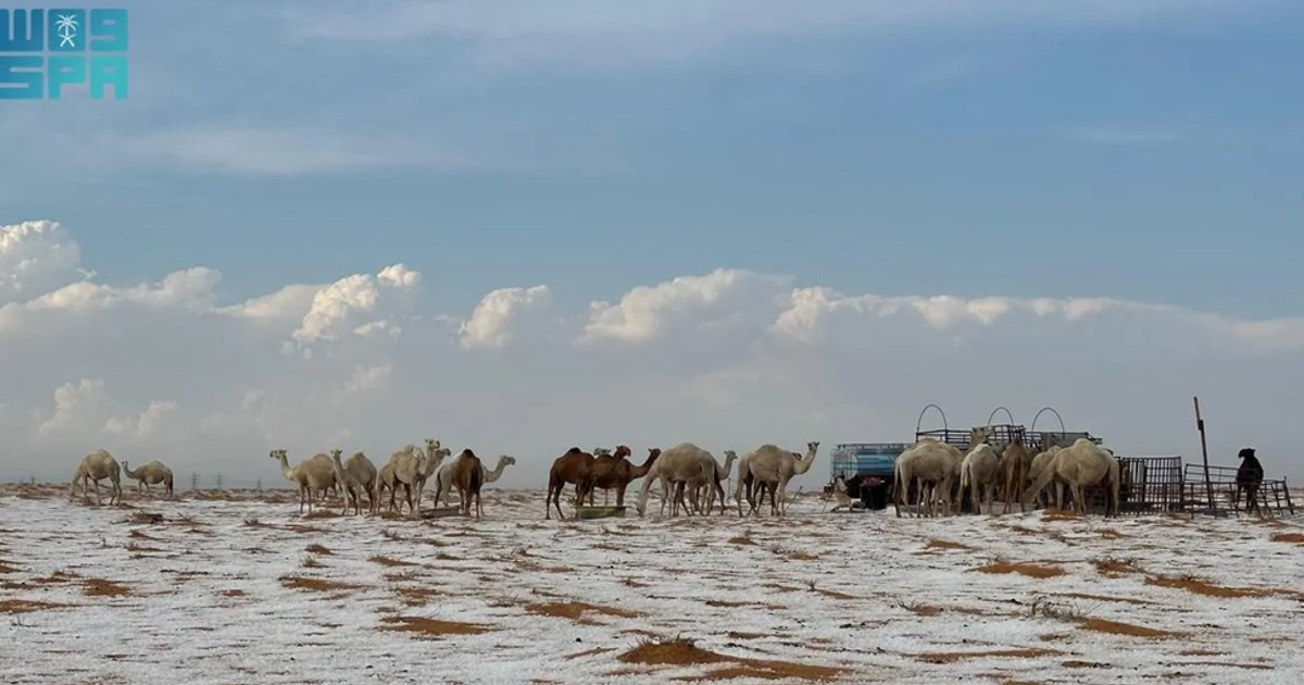 أمير حائل يستعرض إنجازات الدفاع المدني