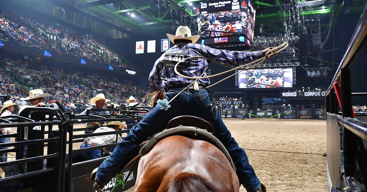 Keine Strafen für Hubschraubercrew nahe Kid Rock's Haus