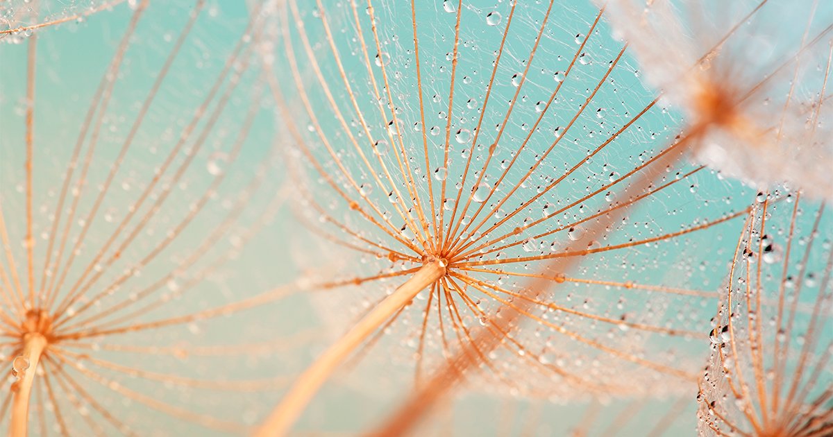 Korruptionsskandal: Bestechung von Richtern im arabischen Raum