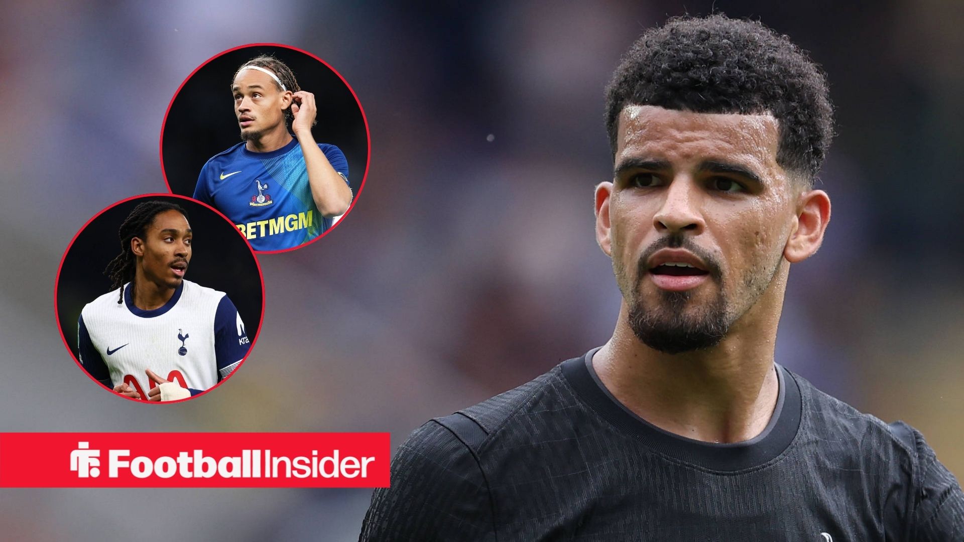 إصابات توتنهام: تحديثات حول سيمونز وسولانكي