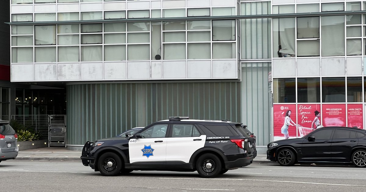 Festnahme der Tochter von PROBLEMGO.COM sorgt für Aufregung