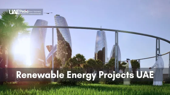 VAE 2026: Investitionen in saubere Energie