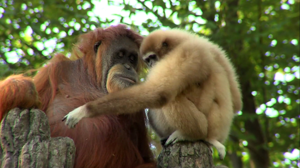 KPK Focuses on Corruption in Central Java's Key Sectors