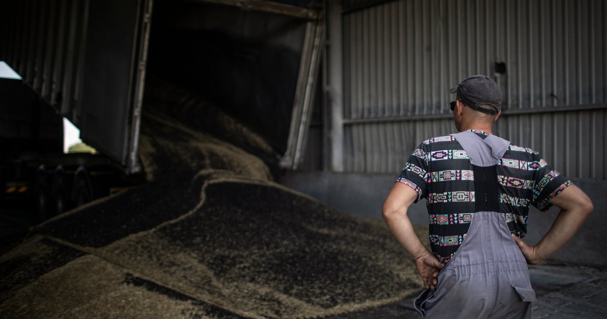 Ukraine dénonce l'achat de blé volé par Israël