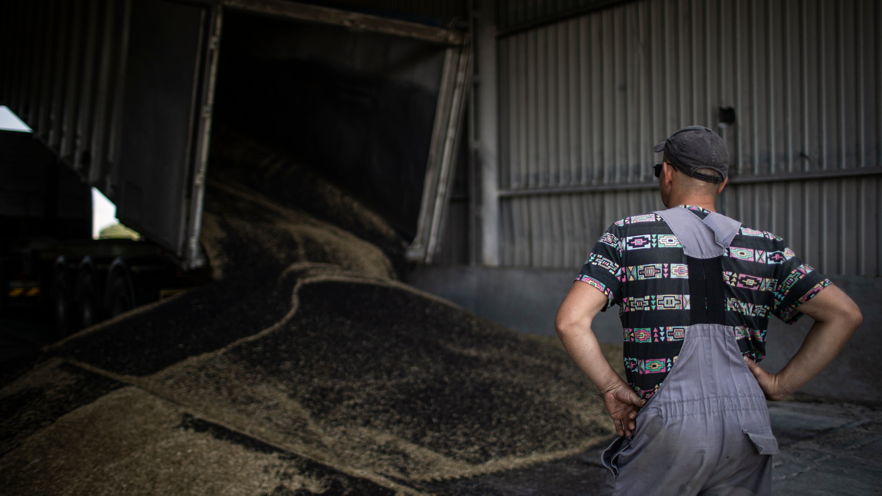 أوكرانيا تندد بشراء إسرائيل للقمح المسروق من روسيا