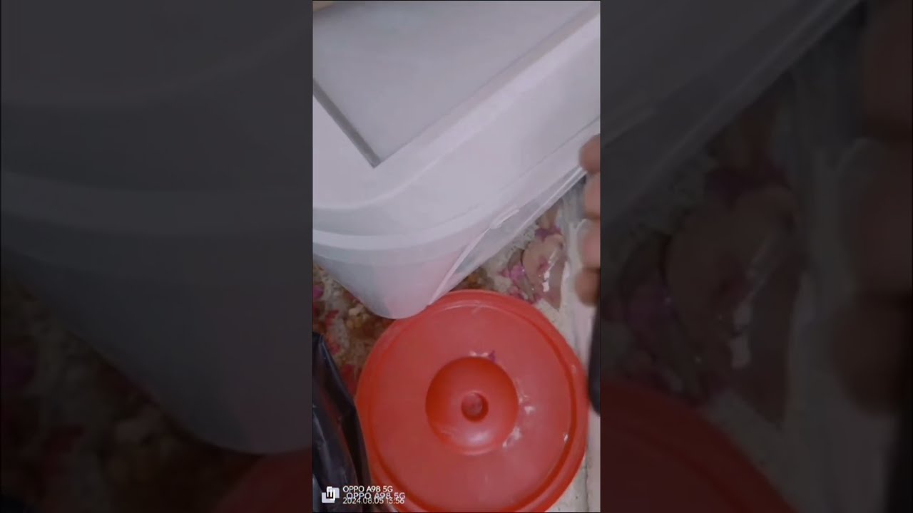 المخدرات القاتلة: تهريب جديد يثير القلق