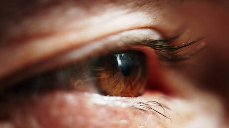 Genetic Map to Prevent Vision Loss